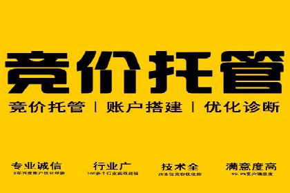 充值返点政策对用户忠诚度的影响研究